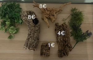 Terrariumzubehör günstig abzugeben