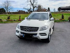 Mercedes-Benz ML 250 ML 250 BlueTEC 4MATIC 7G-TRONIC