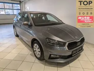 Skoda Fabia 1.0MPI SHZ PDC 5J.Garantie