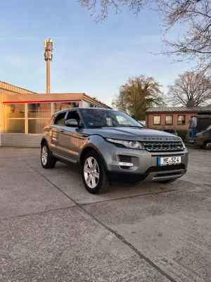 Land Rover Range Rover Evoque TD4 Aut. Pure