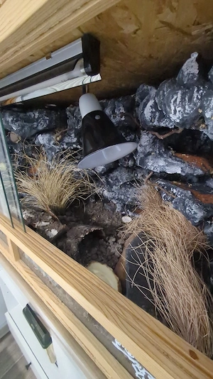 Terrarium mit Einrichtung 100x50x50