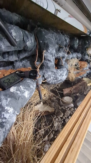 Terrarium mit Einrichtung 100x40x40