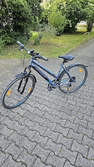 Tecnobike Portofino Crossrad (MTB)