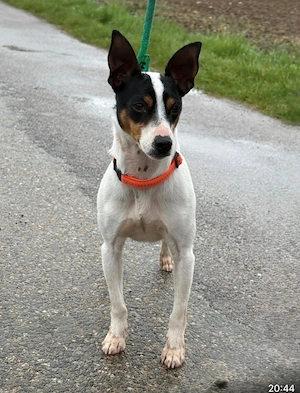 Armani sucht seine Familie