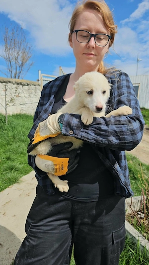 Süße Nina- bald auf Pflegestelle! Bild 7