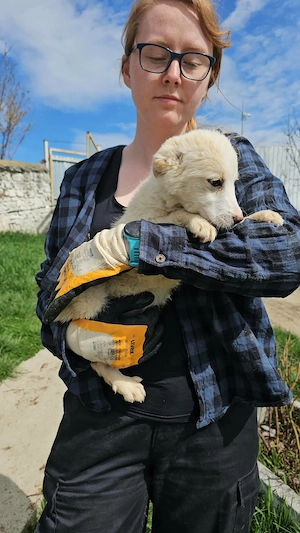 Süße Nina- bald auf Pflegestelle! Bild 8