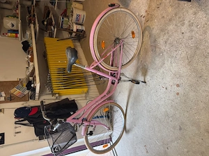 ausergewöhnliches Damenrad 