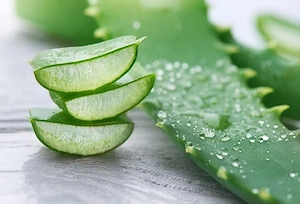 Whatsapp-Party   Infoabend