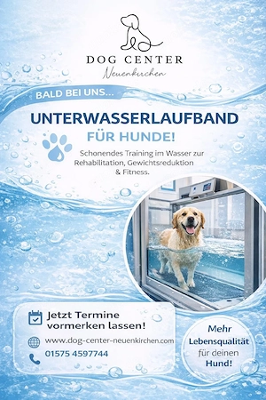 Unterwasserlaufband Angebot 