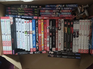 Anime Manga Sammlung Bücher 