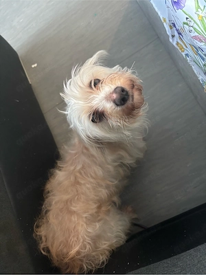 Nelly sucht ein neues körbchen