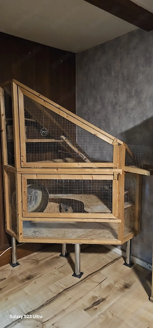 Ich suche Chinchillas