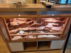 Sonder Angebot leopardengecko