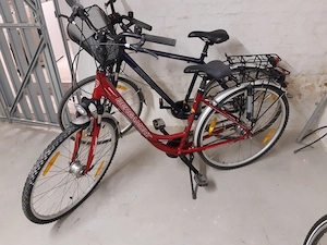 Herrenfahrrad und Damenfahrrad