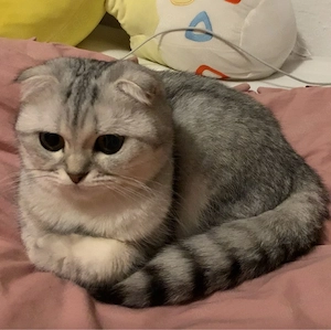 BKH Dame sucht neue Dosenöffner