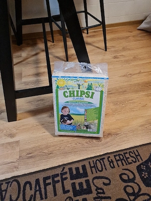 Hasestreu beide zusammen 