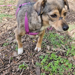 Mary - kleine Mary sucht großes Glück 
