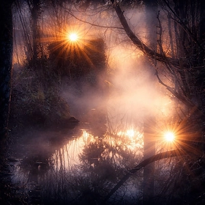 Sinnliche Massage für Sie, Ihn, Transmemsch, Paar. 