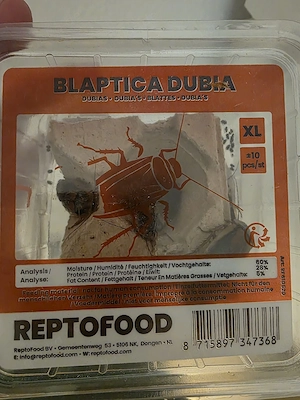 Argentinische Schabe Futter