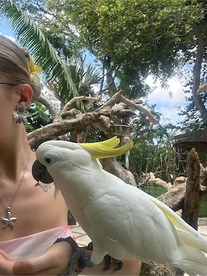 Biete Urlaubsbetreuung   Vogelsitting 