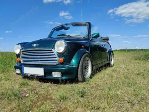MINI 1300
