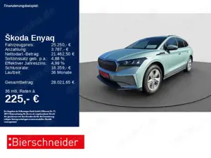 Skoda Enyaq 50 19 ACC PANO NAVI SHZ CAM