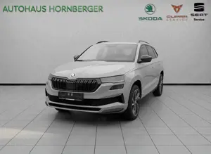 Skoda Karoq Sportline 1.5TSI 150PS Leder Navi Matrix Kamera 19