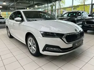 Skoda Octavia Bild 4