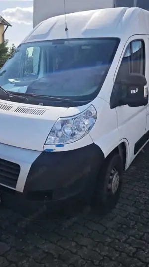 Fiat Ducato Fiat Ducato Natural Power CNG – TÜV NEU!