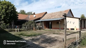 Bauernhaus mitten im Wald Ungarn