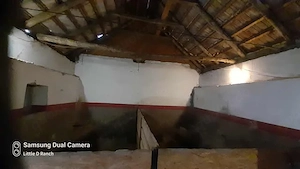 Bauernhaus mitten im Wald Ungarn Bild 8