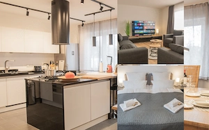 Reingungskraft für Ferienwohnung gesucht