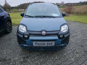 Fiat Panda Bild 3