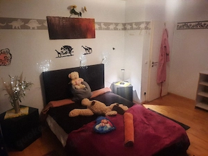 Appartement zu vermieten  Bild 4