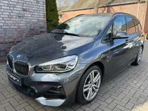 BMW 218 M Sport Business-Paket HiFi 18"
