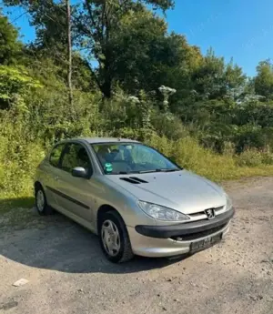 Peugeot 206 60 Filou