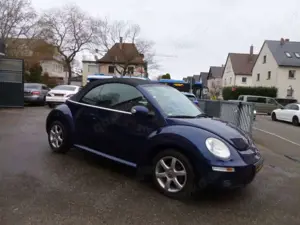 Volkswagen New Beetle 1.6 Freestyle Cabrio Bild 5