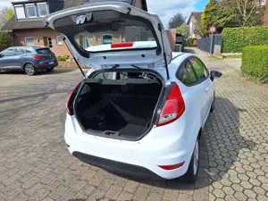 Ford Fiesta Fiesta 1.0 Start-Stop Champions Edition Bild 4