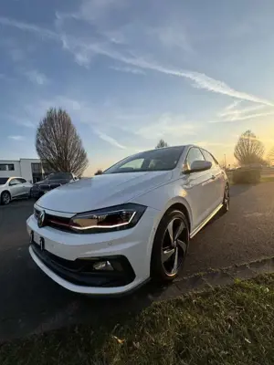 Volkswagen Polo GTI 2.0 TSI OPF DSG Bild 4