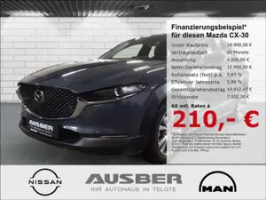 Mazda CX-30 Selection 2WD 360° Bose Ganzjahresreifen Head-up-D