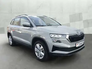 Skoda Karoq Bild 3