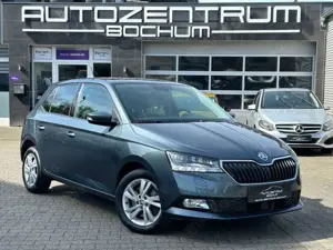 Skoda Fabia Style Kamera Carplay SHZ PDC Klimaaut.