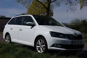 Skoda Fabia Fabia Combi 1.0 TSI Style