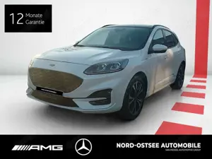 Ford Kuga 2.0 ECOBLUE ST-LINE X NAVI PANO KAMERA SPUR