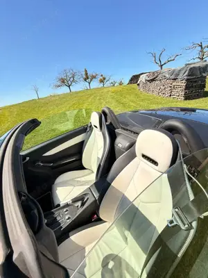 Mercedes-Benz SLK 200 2Look Edition