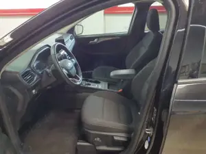 Ford Kuga 1.5 EcoBlue Aut. TITANIUM Bild 3