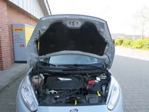 Ford Fiesta Fiesta  3-Türer 1.6 EcoBoost ST200 Bild 5