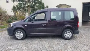 Volkswagen Caddy Caddy 1.6 TDI (5-Si.) BMT Edition 30