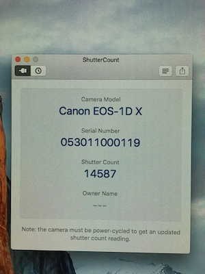 Canon EOS-1DX + 50mm 1.8 II MINT, 15K shutter actuations. boxed Bild 9