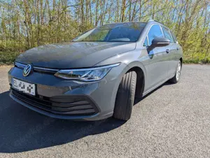 Volkswagen Golf Variant Golf VIII Variant 1.0 eTSI OPF DSG Life mit AHK Bild 2